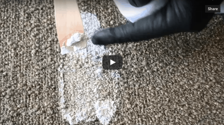 Remove Latex Paint From Carpet XL North